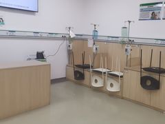 -中国农业大学动物医院