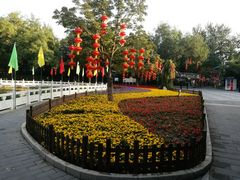 -丰台花园