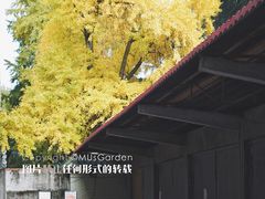 -四川大学(望江校区)