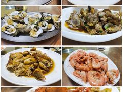 -广东惠东海龟国家级自然保护区