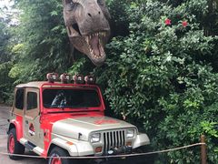 -奥兰多环球影城