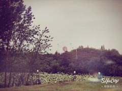 -池州市平天湖风景区
