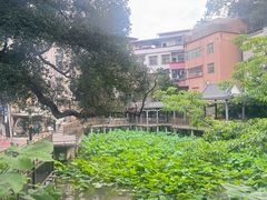 -长洲岛