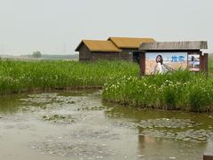 -宁波杭州湾国家湿地公园