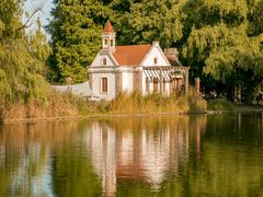 -上海共青森林公园