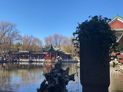 -MAP CHA普洱茶馆(翠湖店)