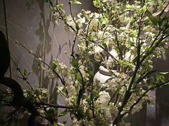 -仟汇足道·SPA(秀洲总店)