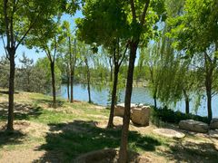 -马家湾湿地公园