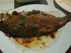 -松针蔡记蒸饺(花园路店)