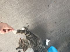 -左撇子私房面
