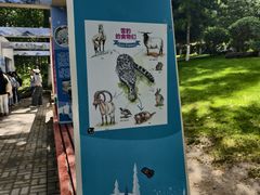 -青藏高原野生动物园