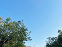 -大雁山风景区