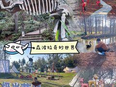 -森波拉奇妙世界