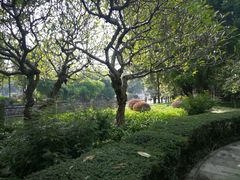 -晓港公园
