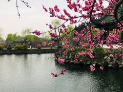-无锡蠡湖国家湿地公园-蠡园