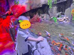 -蓬莱欧乐堡海洋极地世界