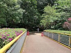-玉树公园