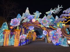 -淄博花灯齐彩城