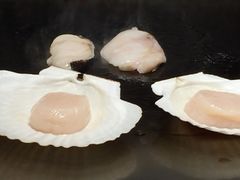 -舞鹤日本料理铁板烧(华侨城店)