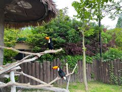 -上海野生动物园
