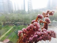 -瓦库茶馆17号(海汇港店)