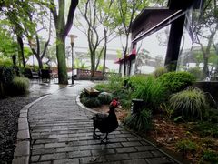 -得丘礼享谷·玉兰苑