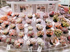 -KKV(深圳kk one 店)