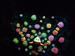 -珠海长隆海洋王国