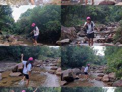 -广州白江湖森林公园