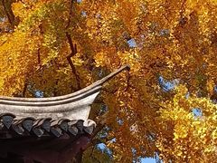-水绘园