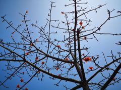 -大嶝英雄三岛战地观光园