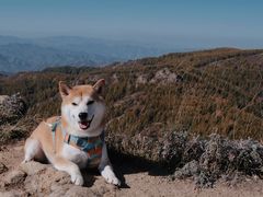 -苏木山森林公园