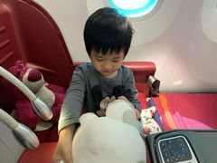 -海南海航航空信息系统公司