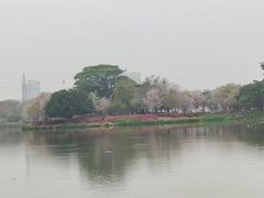 -顺峰山公园