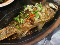 -老黑板筋(顺义总店)