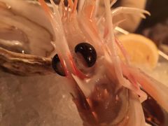 -斯普汇生蚝牛排馆(中骏世界城店)