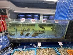 -蓝湾碧波·老字号·疍家非遗海上餐厅