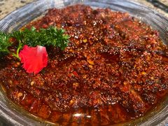 -园里火锅(仁和新城店)