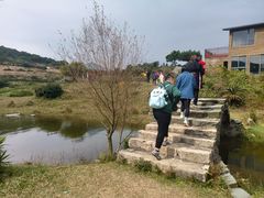 -大姆山草场