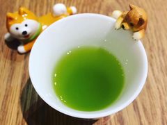 -柴务处·柴犬主题狗咖