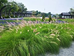 -映月湖公园