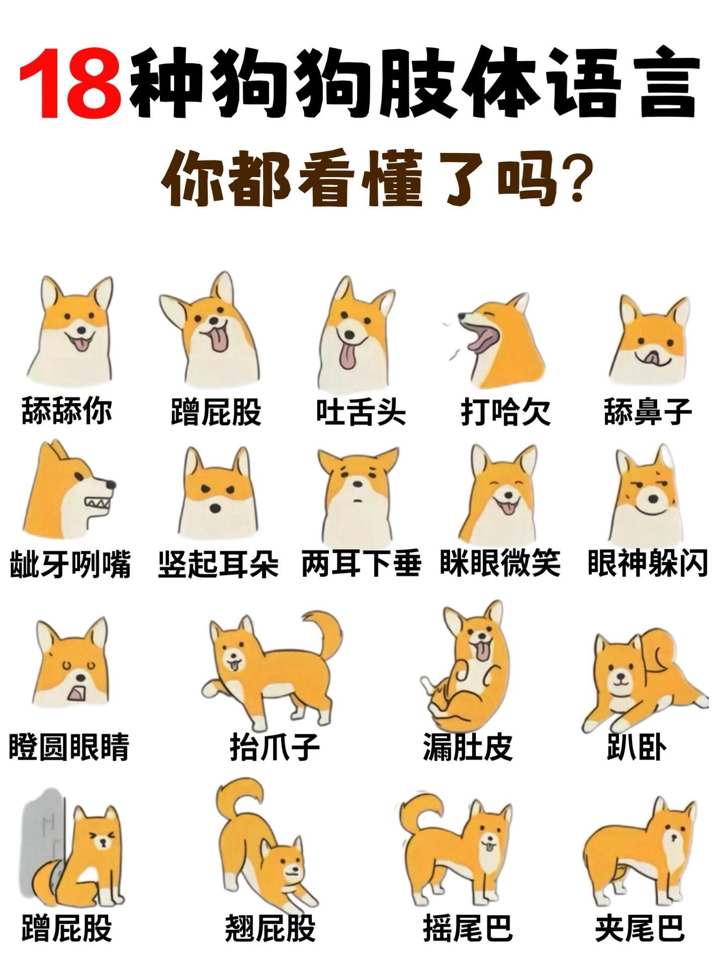 狗狗的这些肢体语言,你都看懂了吗?