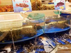 -海景壹号大酒店(滨湖店)