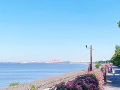 -上海滨江森林公园