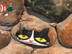 -猫咪博物馆(顶澳仔猫街店)