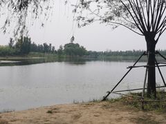 -东郊湿地公园