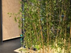 -新紫霞养生·影院足道·SPA(金山区店)