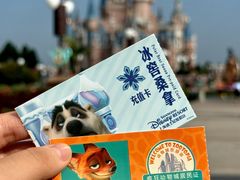 -上海迪士尼度假区