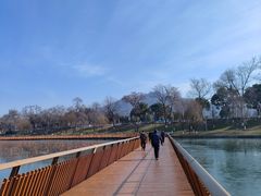 -太阳宫公园