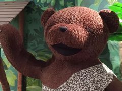 -济州岛泰迪熊博物馆